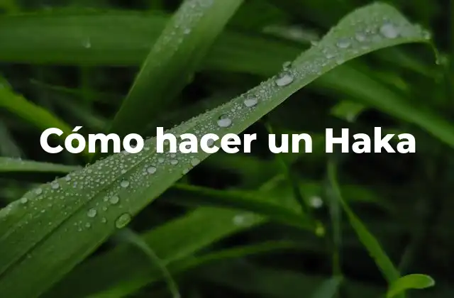Cómo Hacer un Haka
