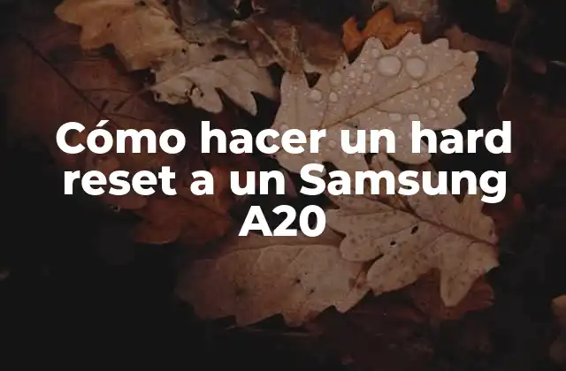 Cómo Hacer un Hard Reset a un Samsung A20