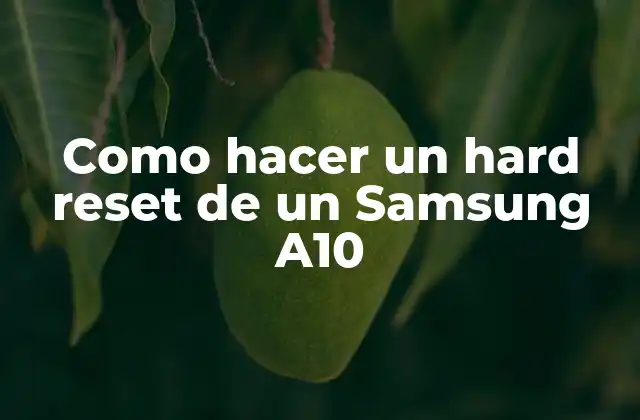 Como Hacer un Hard Reset de un Samsung A10