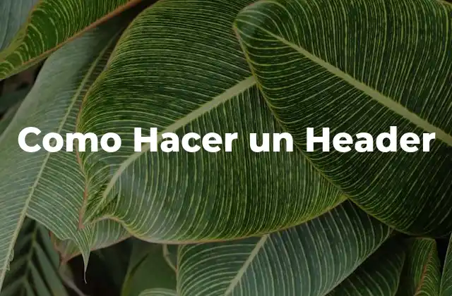 Como Hacer un Header 2 ¿Qué es un Header y para Qué Sirve?
