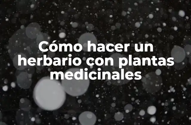 Cómo Hacer un Herbario con Plantas Medicinales
