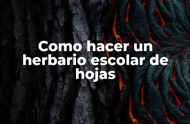 Como Hacer un Herbario Escolar de Hojas