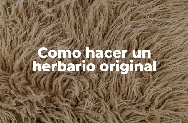Como Hacer un Herbario Original