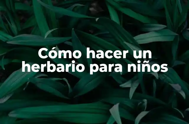 Cómo Hacer un Herbario para Niños