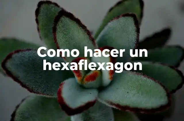 Como Hacer un Hexaflexagon