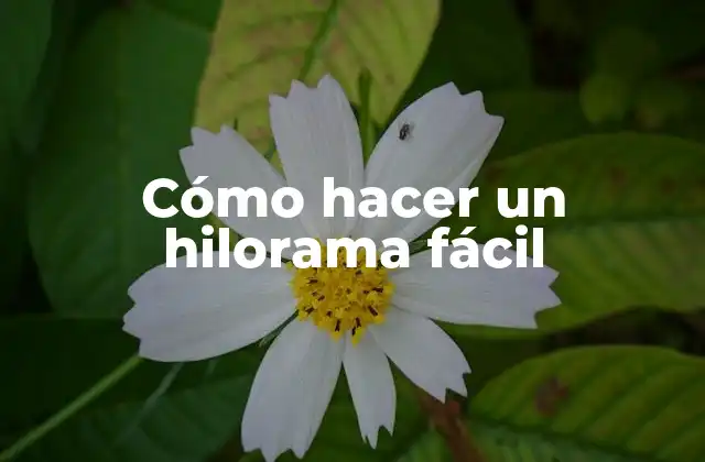 Cómo Hacer un Hilorama Fácil