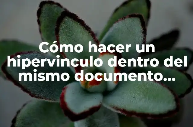 ¿Qué es un hipervinculo dentro del mismo documento Word?