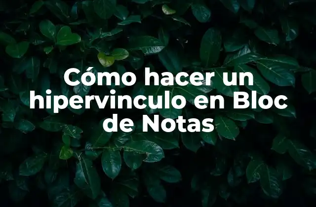 Cómo Hacer un Hipervinculo en Bloc de Notas 2 Cómo hacer un hipervinculo en Bloc de Notas