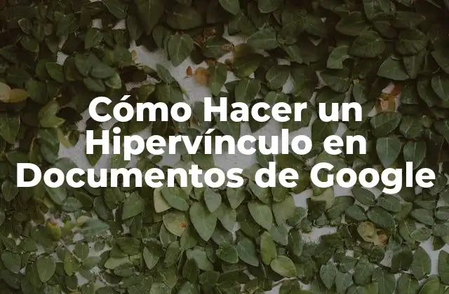 Cómo Hacer un Hipervínculo en Documentos de Google 2 ¿Qué es un Hipervínculo en Documentos de Google?