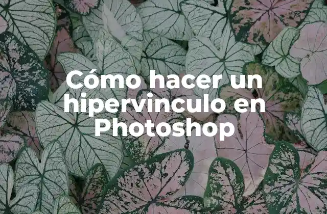 Cómo Hacer un Hipervinculo en Photoshop