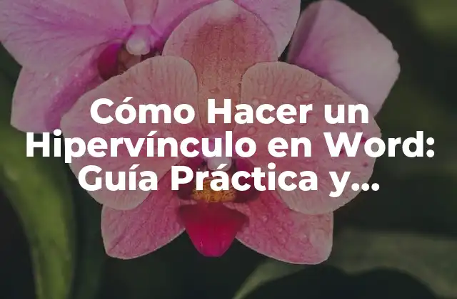 Cómo Hacer un Hipervínculo en Word: Guía Práctica y Detallada