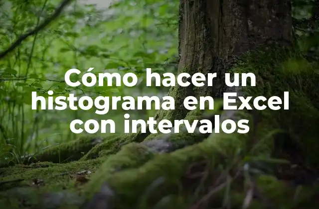 Cómo Hacer un Histograma en Excel con Intervalos
