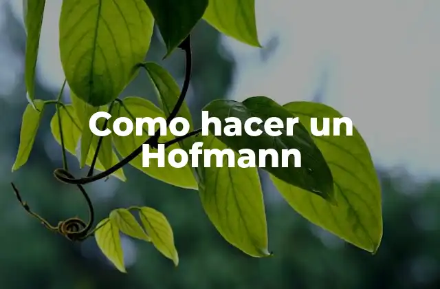 Como Hacer un Hofmann