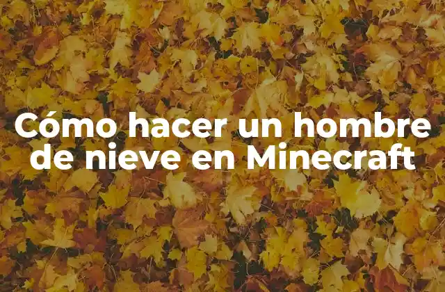 Cómo Hacer un Hombre de Nieve en Minecraft