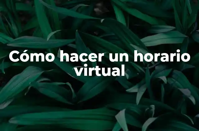 Cómo Hacer un Horario Virtual