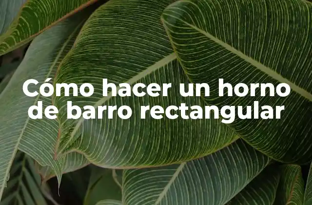 Cómo Hacer un Horno de Barro Rectangular