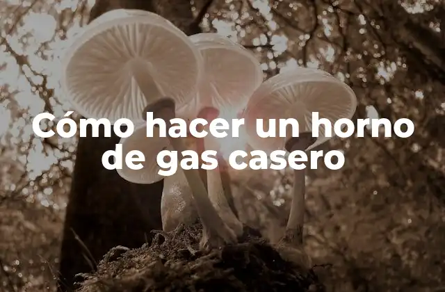 Cómo Hacer un Horno de Gas Casero