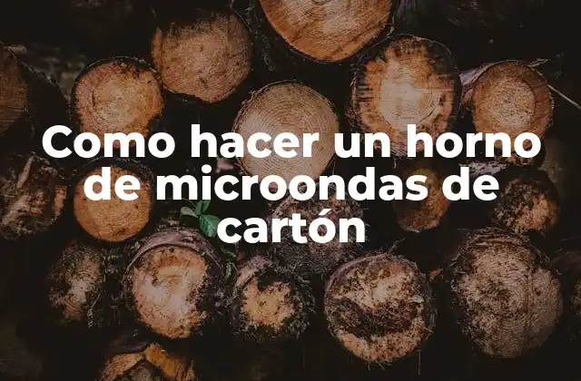 Como Hacer un Horno de Microondas de Cartón