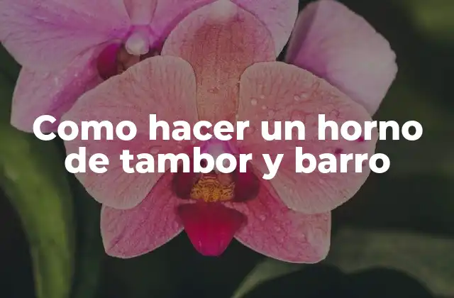 Como Hacer un Horno de Tambor y Barro