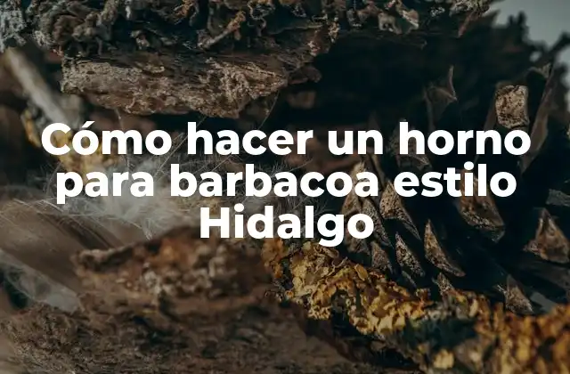 Cómo Hacer un Horno para Barbacoa Estilo Hidalgo 2 Cómo hacer un horno para barbacoa estilo Hidalgo