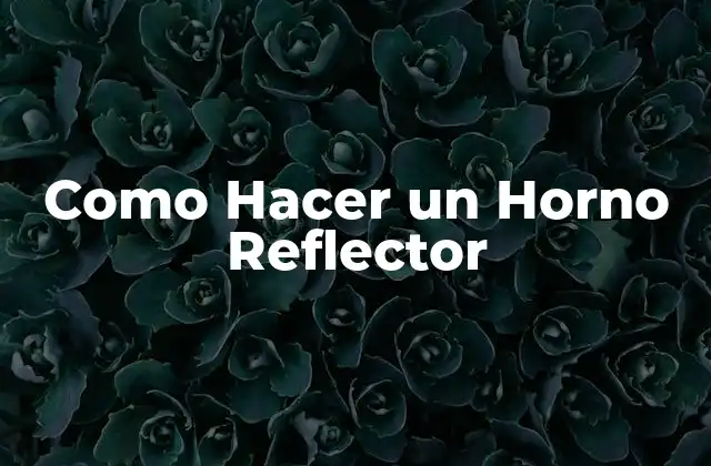 Como Hacer un Horno Reflector
