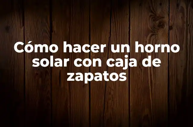 Cómo Hacer un Horno Solar con Caja de Zapatos