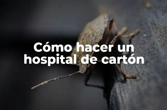 Cómo Hacer un Hospital de Cartón