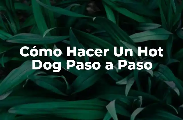 Cómo Hacer un Hot Dog Paso a Paso 2 ¿Qué es un Hot Dog y Para Qué Sirve?