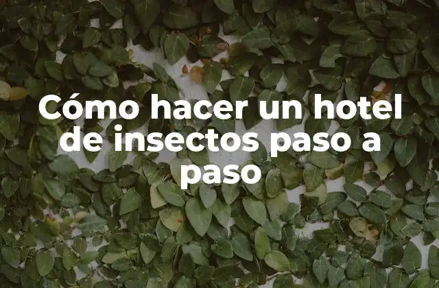 Cómo Hacer un Hotel de Insectos Paso a Paso