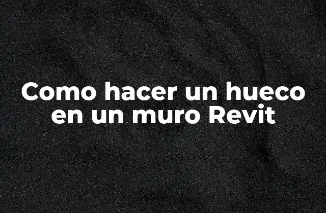 Como Hacer un Hueco en un Muro Revit