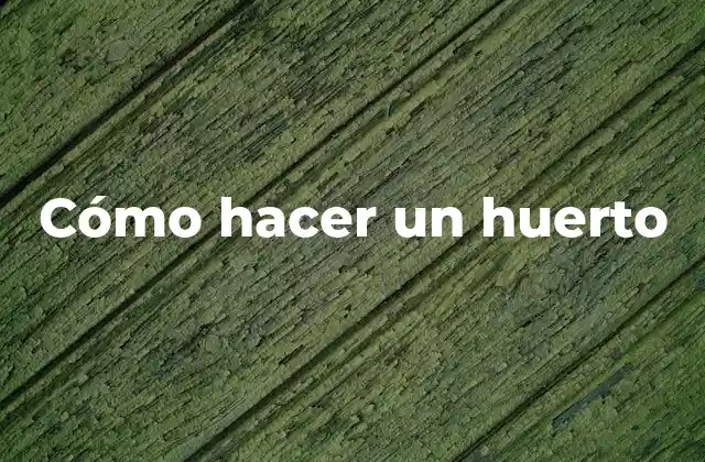 Qué es un huerto y para qué sirve