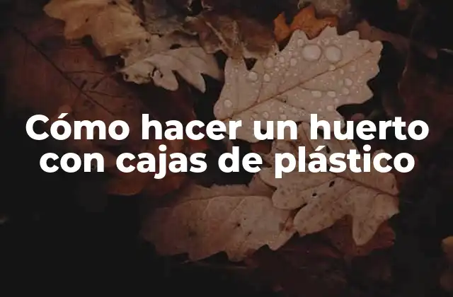 Cómo Hacer un Huerto con Cajas de Plástico