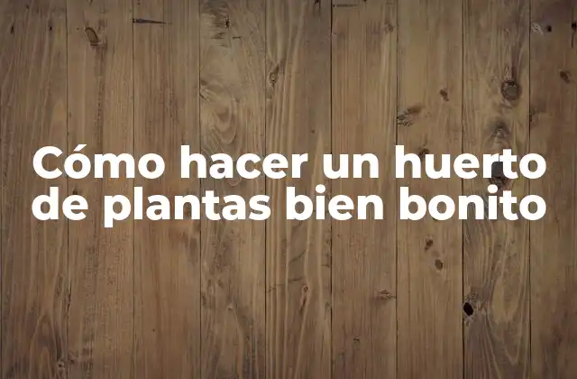 Cómo Hacer un Huerto de Plantas Bien Bonito