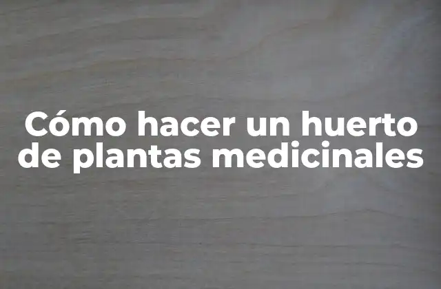 Cómo Hacer un Huerto de Plantas Medicinales