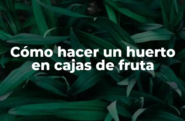 Cómo Hacer un Huerto en Cajas de Fruta