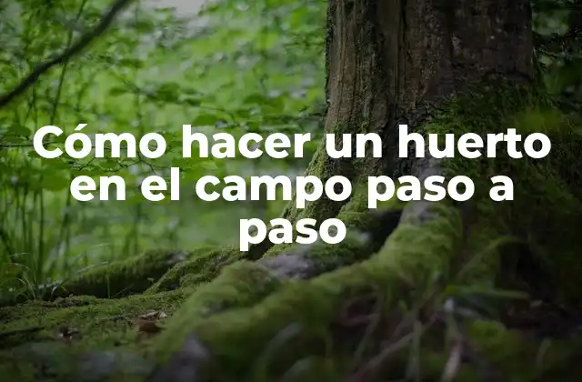 Cómo Hacer un Huerto en el Campo Paso a Paso 2 Cómo hacer un huerto en el campo paso a paso