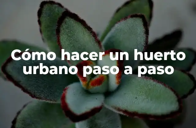 Cómo Hacer un Huerto Urbano Paso a Paso