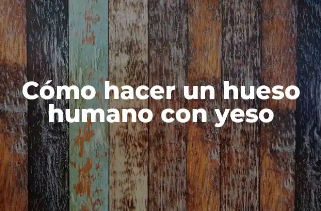Cómo Hacer un Hueso Humano con Yeso