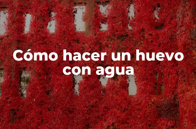 Cómo Hacer un Huevo con Agua