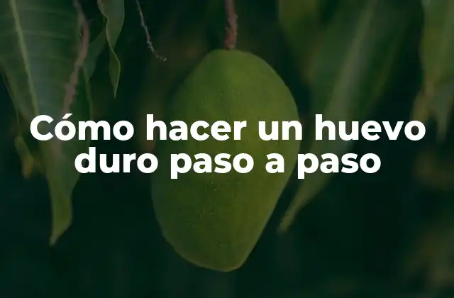 Cómo Hacer un Huevo Duro Paso a Paso