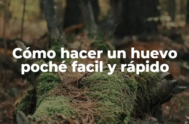 Cómo Hacer un Huevo Poché Facil y Rápido