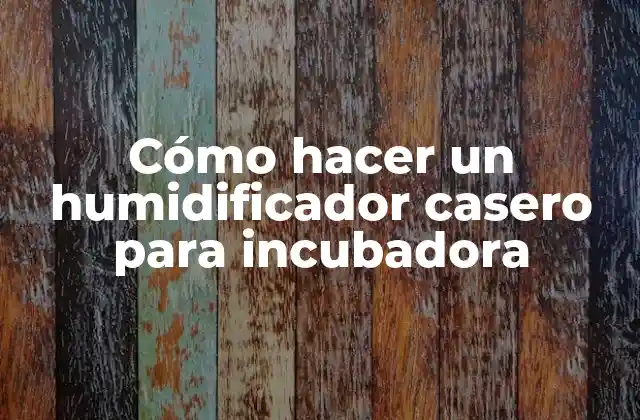 Cómo Hacer un Humidificador Casero para Incubadora