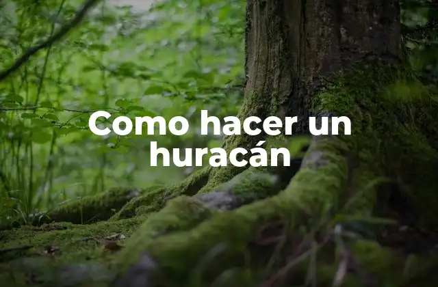 ¿Qué es un huracán?