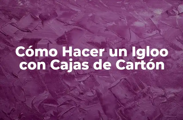 Cómo Hacer un Igloo con Cajas de Cartón