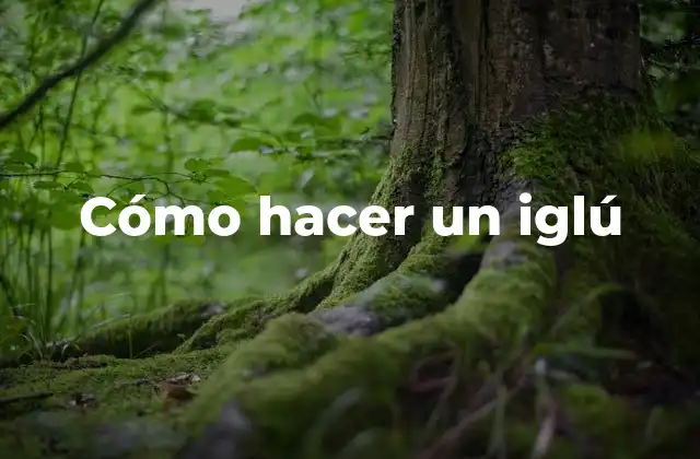 Cómo Hacer un Iglú