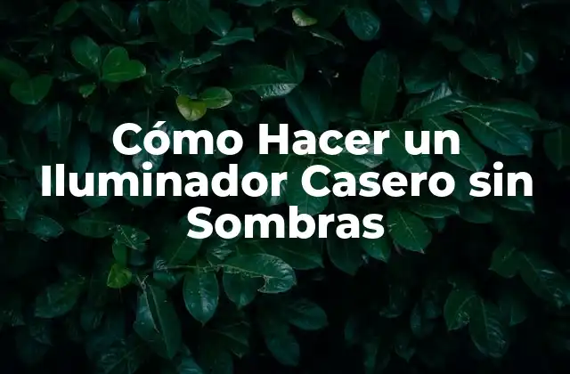 Cómo Hacer un Iluminador Casero sin Sombras