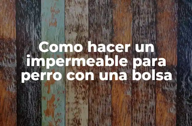 Como Hacer un Impermeable para Perro con una Bolsa