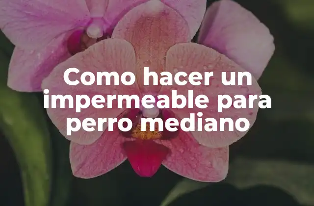 Como Hacer un Impermeable para Perro Mediano