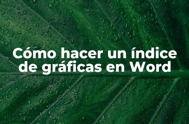 Cómo Hacer un Índice de Gráficas en Word