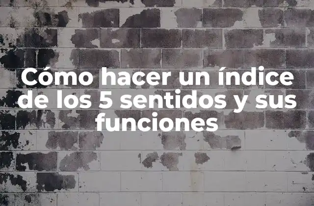 Cómo Hacer un Índice de los 5 Sentidos y Sus Funciones